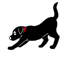 Black Labrador Sticker2 sticker #7270420