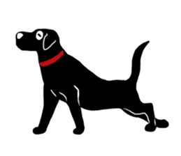 Black Labrador Sticker2 sticker #7270421