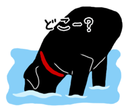 Black Labrador Sticker2 sticker #7270429