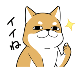DAME SHIBA sticker #7271062