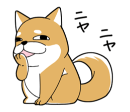 DAME SHIBA sticker #7271066