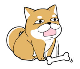DAME SHIBA sticker #7271071