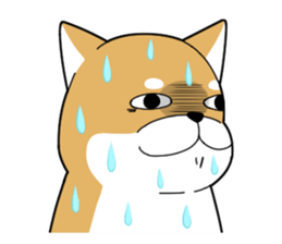 DAME SHIBA sticker #7271073