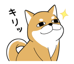 DAME SHIBA sticker #7271080