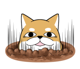DAME SHIBA sticker #7271095