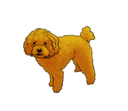 TOYPOODLE MOCA's Sticker sticker #7271136