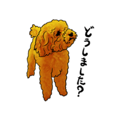 TOYPOODLE MOCA's Sticker sticker #7271137