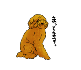 TOYPOODLE MOCA's Sticker sticker #7271140
