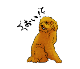 TOYPOODLE MOCA's Sticker sticker #7271141