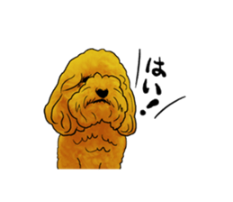 TOYPOODLE MOCA's Sticker sticker #7271143