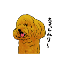 TOYPOODLE MOCA's Sticker sticker #7271144