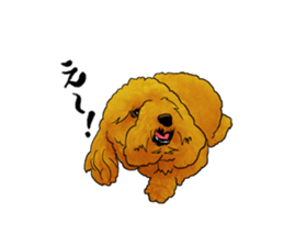 TOYPOODLE MOCA's Sticker sticker #7271146