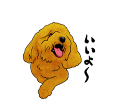 TOYPOODLE MOCA's Sticker sticker #7271147