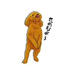 TOYPOODLE MOCA's Sticker sticker #7271149