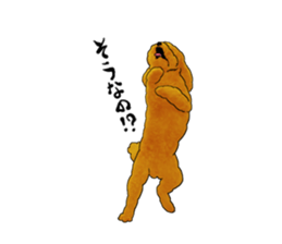 TOYPOODLE MOCA's Sticker sticker #7271152