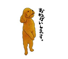 TOYPOODLE MOCA's Sticker sticker #7271153