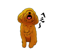 TOYPOODLE MOCA's Sticker sticker #7271154