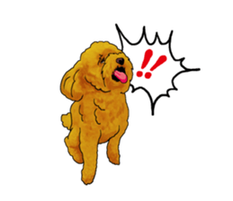 TOYPOODLE MOCA's Sticker sticker #7271155