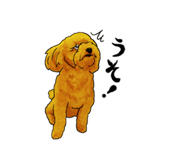 TOYPOODLE MOCA's Sticker sticker #7271156