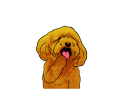 TOYPOODLE MOCA's Sticker sticker #7271157