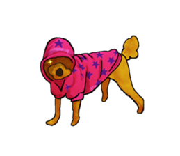 TOYPOODLE MOCA's Sticker sticker #7271159