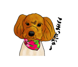 TOYPOODLE MOCA's Sticker sticker #7271160