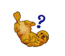 TOYPOODLE MOCA's Sticker sticker #7271162