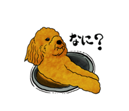 TOYPOODLE MOCA's Sticker sticker #7271166