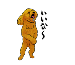 TOYPOODLE MOCA's Sticker sticker #7271167