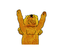 TOYPOODLE MOCA's Sticker sticker #7271169