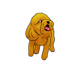 TOYPOODLE MOCA's Sticker sticker #7271170