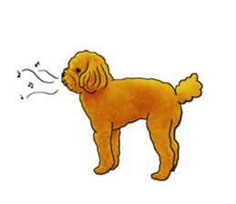 TOYPOODLE MOCA's Sticker sticker #7271171