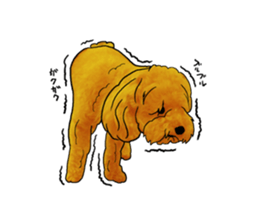 TOYPOODLE MOCA's Sticker sticker #7271172