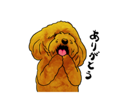 TOYPOODLE MOCA's Sticker sticker #7271173
