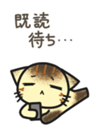 Stare cat shii sticker #7271873