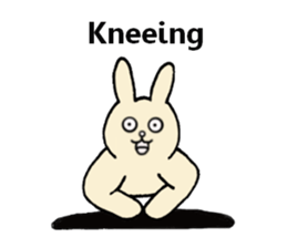 Insolent sticker of the fat rabbit sticker #7273823