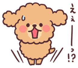 fluffy toy poodle 3set sticker #7274443