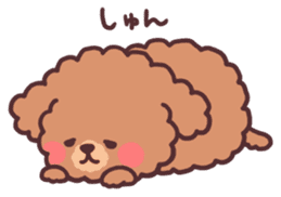 fluffy toy poodle 3set sticker #7274444