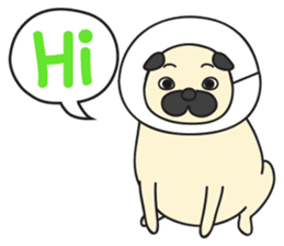 Chubby Puggy sticker #7277016