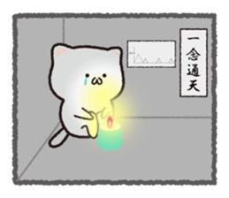 Emoticons Cat NEKODI sticker #7277556