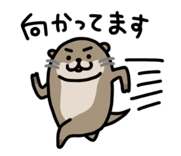 Cute otter sticker sticker #7277938