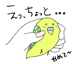 Daily life of parakeets sticker #7278087