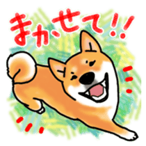 ShibaInu ZANMAI sticker #7281185