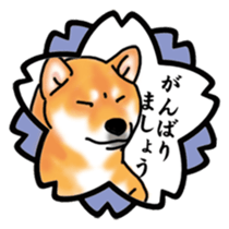ShibaInu ZANMAI sticker #7281211