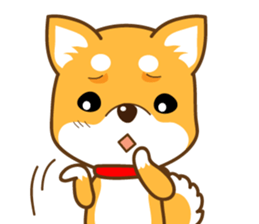 Shiba Musashi sticker #7281428