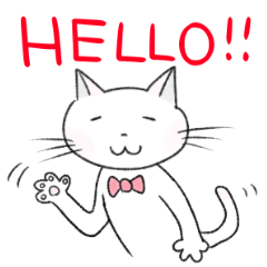 A snow white pretty kitten sticker