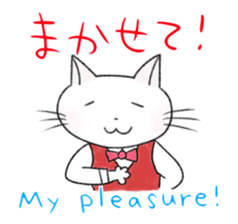 A snow white pretty kitten sticker sticker #7282665