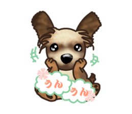 Her name is KOMUGI sticker #7282878