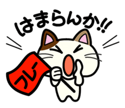 Miytan,Kumamoto valve of a calico cat sticker #7283988