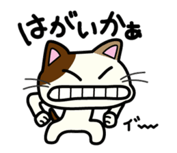 Miytan,Kumamoto valve of a calico cat sticker #7284004